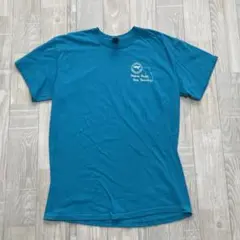 y2k gildan グラフィックTシャツ　色味◎