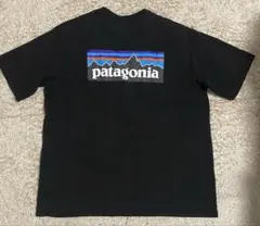 Patagonia パタゴニア ポケット　Tシャツ ブラック L 美品　ポケtのサムネイル