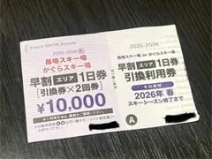 2026年最新】かぐらリフト券の人気アイテム - メルカリ