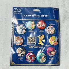 レア】 ディズニーランドリゾート ピンバッジ 年パス所有者限定 - メルカリ