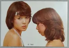 2025年最新】ピンク・レディーの人気アイテム - メルカリ