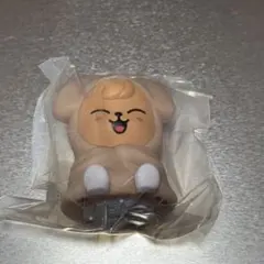 SKZOO ライトマスコット　パピーム　スンミン　straykidsスキズ