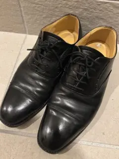 Item thumbnail for item 340b3405-e2ea-4745-bf4a-b54df738edbd