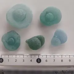 レア　シーグラス オヘソ 5点セット
