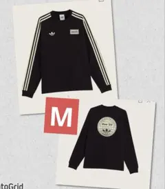 Item thumbnail for item ff9a33b9-6d05-4681-bf1a-aa4f3332ebab