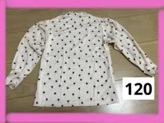 Item thumbnail for item 2a10f0c6-18c0-4579-8522-9436b2c9087d