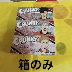 ハイキュー！！音駒高校編　孤爪、黒尾他キャラセット