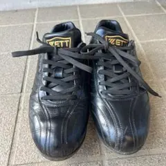 Item thumbnail for item 5337cfc6-6d2a-476e-a9c2-b10921c4d1ee