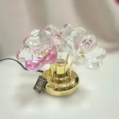 Faith Peach Garden Pod プリザーブドフラワー - メルカリ