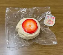 スクイーズ アップルパイは甘くない 苹果派不甜 ロールケーキ - メルカリ