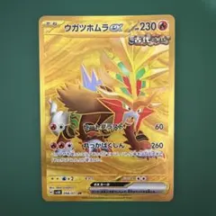 最安値】ウガツホムラex SAR スカーレット&バイオレット 拡張パック