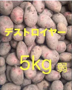 じゃがいも　デストロイヤー 5kg弱箱込のサムネイル