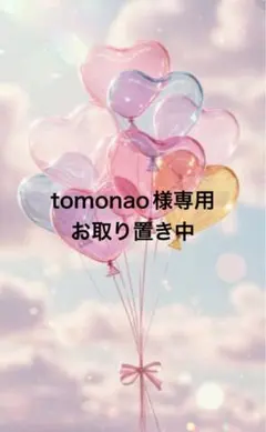 tomonao様専用