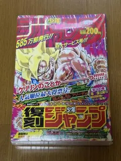 村*ん様 週刊少年ジャンプ 北斗の拳 スラムダンク　蒼天の拳　新連載 美品　希少 村*ん様 週刊少年ジャンプ 北斗の拳 スラムダンク 蒼天の拳 新連載 美