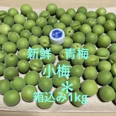 青梅　小梅　農薬肥料不使用　旬の食材　手作りで楽しみ方色々　箱込み＊1kgのサムネイル