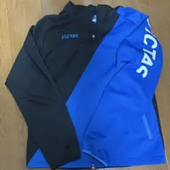 Item thumbnail for item 4cfcd5f0-72af-4b8f-96d3-538d28315f2f