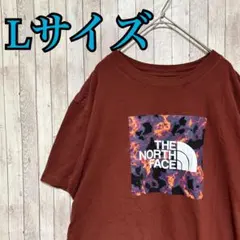 古着　プリントTシャツ　デカロゴ　THE NORTH FACE ノースフェイス