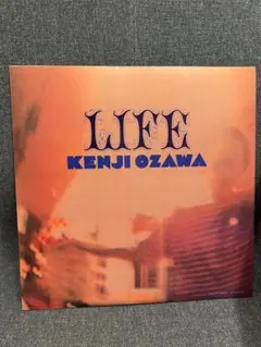 小沢健二　LIFE 1994オリジナル盤　レコード