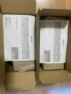 ポケモンセンター ヒロシマ スペシャルBOX ✖︎2 新品未開封⭐︎シュリンク付き