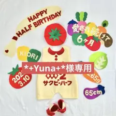 *+Yuna+*様専用　キューピーハーフバースデー