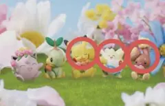 ポケモン ぽかぽかびより2 ピカチュウ ミミロル トゲピー