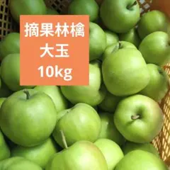 摘果りんご　大粒　ジョナゴールド他　約10kg 送料込み　134のサムネイル