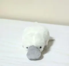 カモノハシさん 様　 専用 BIGペンケースカモノハシさん限定入荷！！ウォンバットさんたち