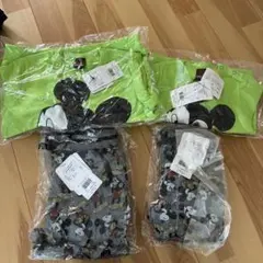 セットアップ ディズニー