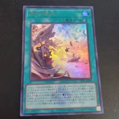 ちょむすけ様 リクエスト 3点 まとめ商品