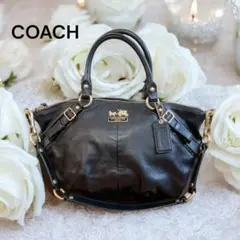 【COACH 】オールドコーチ 金馬車 2way ショルダー ハンドバッグ 黒