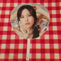 TWICE うちわ MINA 5TH WORLD TOUR