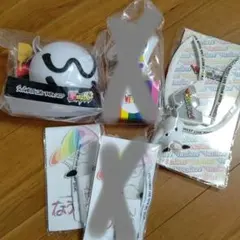 WEST.　ペンライトセット