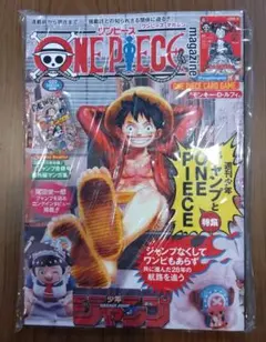 【新品未開封】ワンピースマガジン20号(付録：プロモカード付)