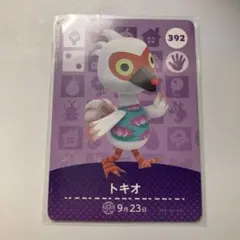 あつ森　アミーボ　トキオ