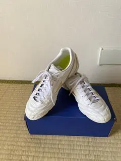 Mizuno Monarcida Neo