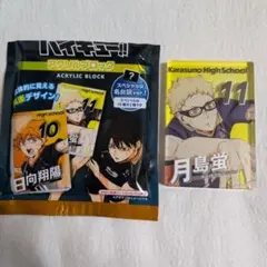 ハイキュー!! アクリルブロック 月島蛍