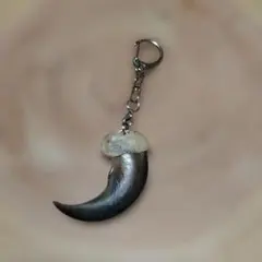 熊の爪　キーホルダー②　ヒグマの爪　羆の爪　チャーム　魔除け　災難除け　財運上昇