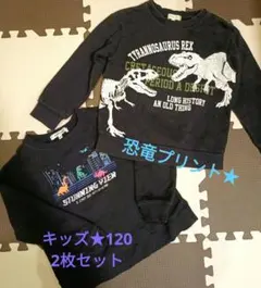 恐竜プリント長袖トレーナー2枚セット サイズ120