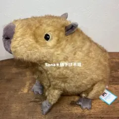 KAPITAL キャピタル ノベルティ テディベア くまのぬいぐるみ - メルカリ