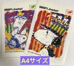 2026年最新】トム・エバハートの人気アイテム - メルカリ