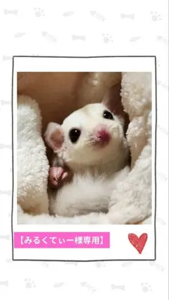 【みるくてぃー様専用】モモンガポーチ