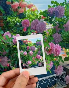 おば❤️様 リクエスト 2点 まとめ商品