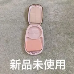 Item thumbnail for item 61e378d2-8403-494d-87a3-d23b62465264