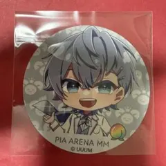 新品 カラフルピーチ からぴちパラダイス コースター ヒロ