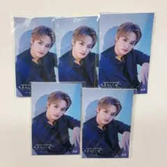 straykids リノ トレカ