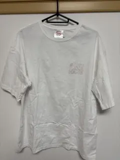 Item thumbnail for item 4a9d2c3a-8f77-4192-b22d-2424db7dc71a