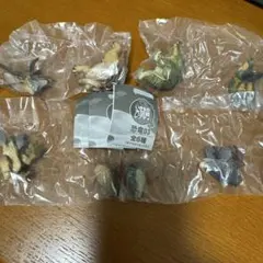 いきもの大図鑑レプティ 恐竜03 バンダイ