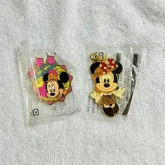 ディズニー ミニーマウス チャーム アラビアンコースト ピンバッジ セット