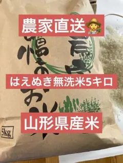 令和7年産 はえぬき白米5キロ 無洗米精米のサムネイル