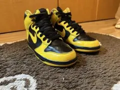 NIKE DUNK HI MICHIGAN ナイキ　ダンクハイ　ミシガン28.5 Nike Dunk High 